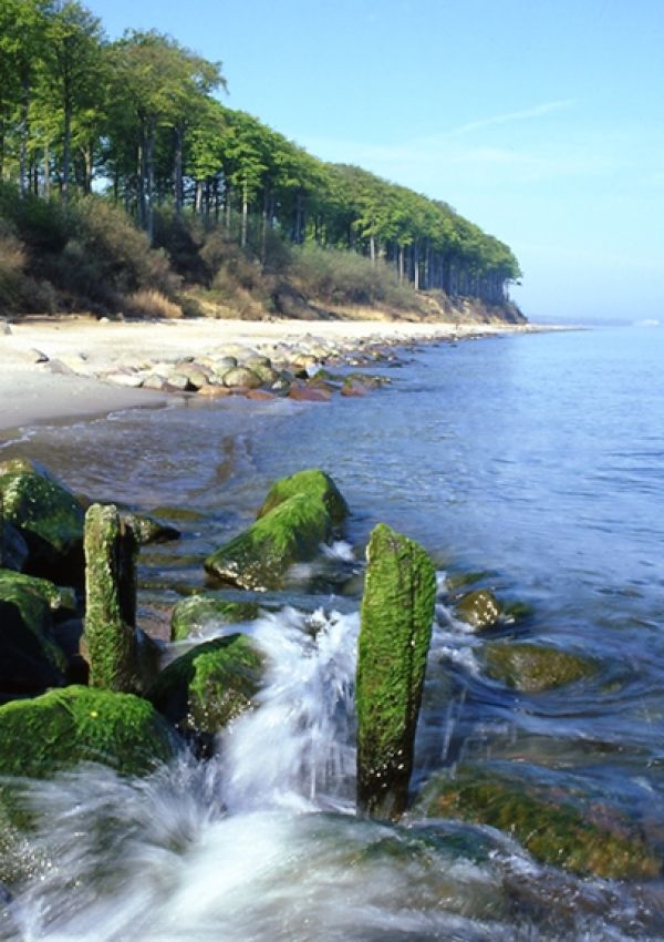 Beispielbild für Heilmittel Ostseewasser